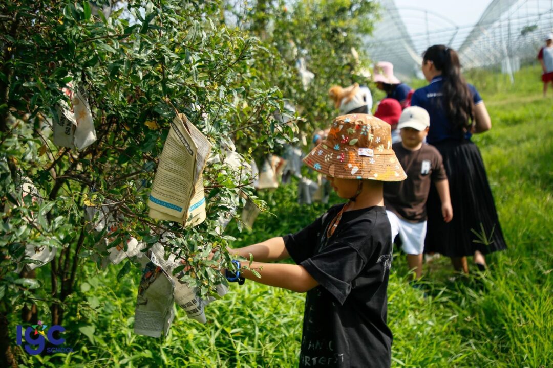Baden Ecofarm Dương Minh Châu