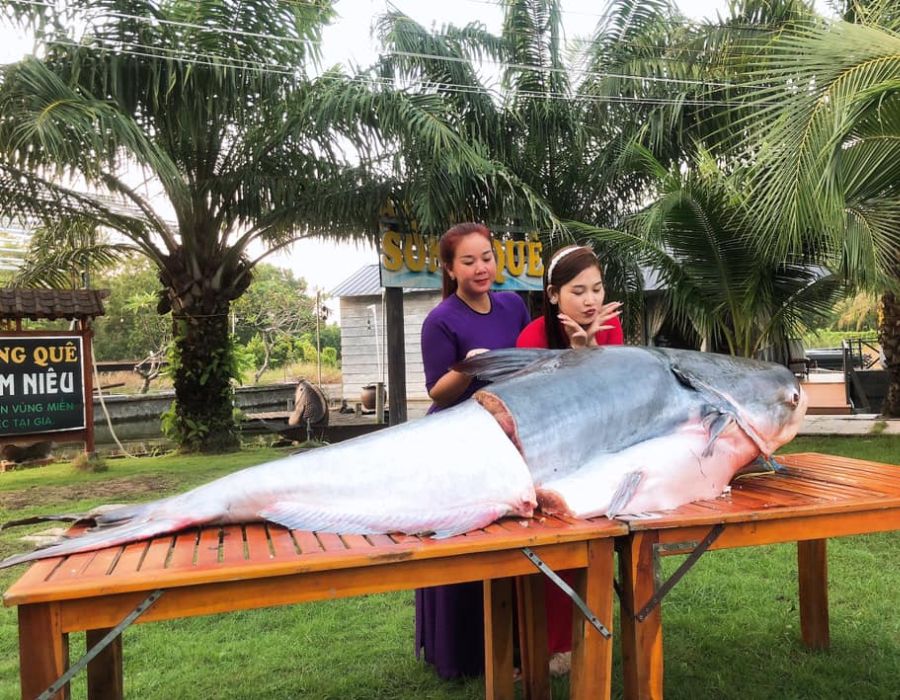 Nhân viên Nhà hàng Sông Quê