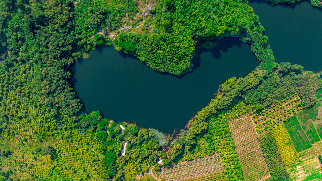 Rừng Chàng Riệc Tây Ninh