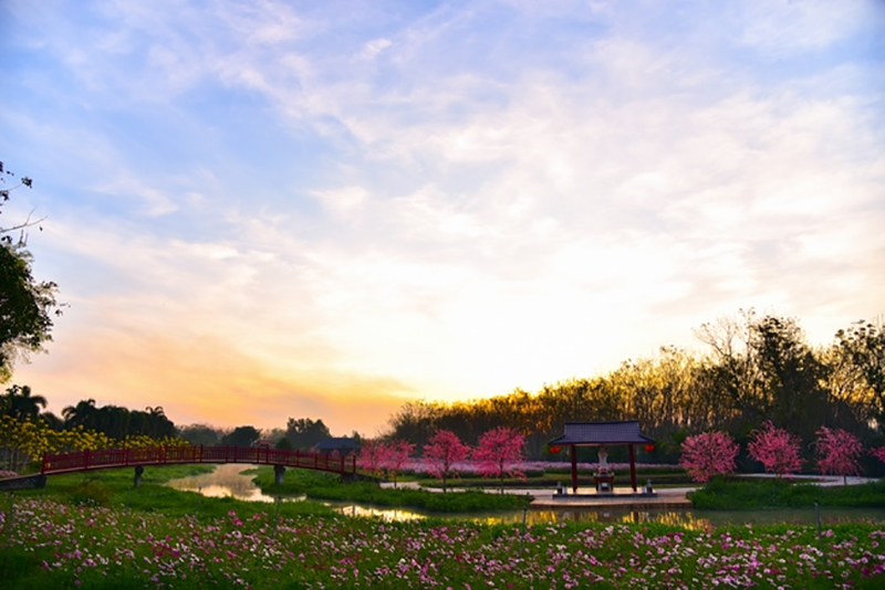 Thủy Hoa Viên Trảng Bàng