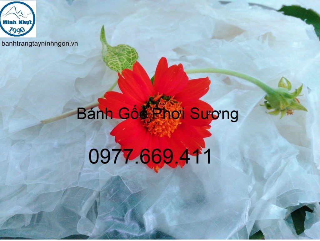 BANH-GOC-PHOI-SUONG